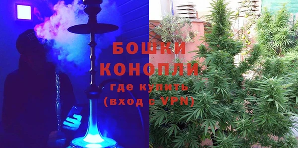 гашик Заводоуковск