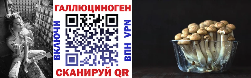 Псилоцибиновые грибы Psilocybe  Купить  Еманжелинск 